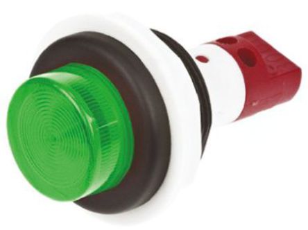 Arcolectric - 0732213120 - Arcolectric 0732213120 ͹ Gɫ neon ָʾ, ᔽӶ, 22mmb׳ߴ, 120 V 		