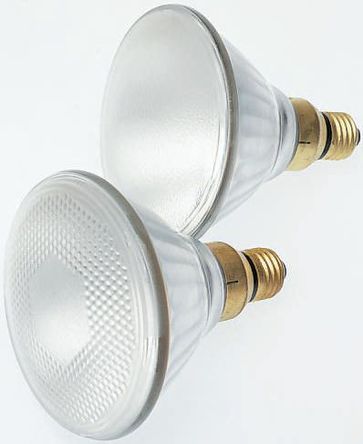 GE - 318179 - GE 80 W ES/E27 uط 318179, 240 V, 2900Kɫ		