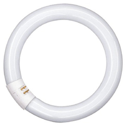 Osram - L 32 W/840 G10Q - Osram LUMILUX ϵ 32 W ɫ hΟɹ 4008321581143, ֱ 305mm, 4000Kɫ		