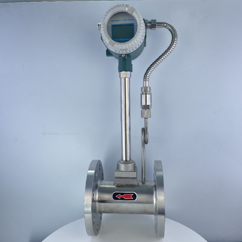 渦街流量計(jì)